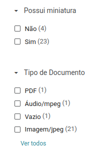 Captura de tela mostrando os filtros de miniatura e tipo de documento