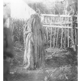 Máscara, Fotografia, sem Datação atribuida. Pessoa usando máscara ritualistiva, ela está de pé e ao fundo se encontra uma plantação.